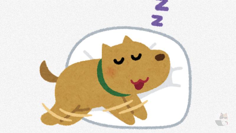 【速報】イッヌ、布団にもぐる