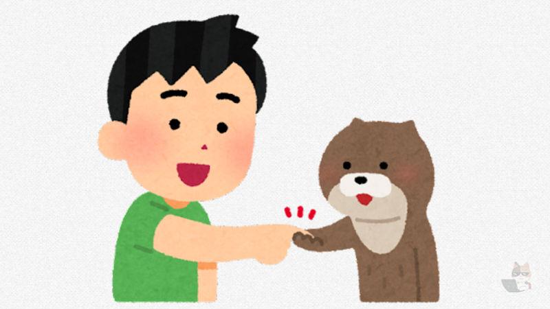 【癒し動画】人間さん、濁流に飲み込まれあの猛獣に襲われてしまう!