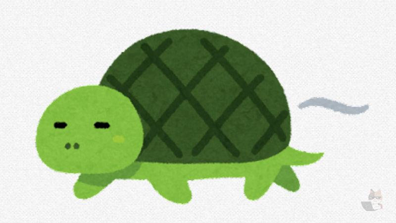 【朗報】亀さん🐢さん、ひっくり返った仲間を助ける知的生命体であることが明らかに