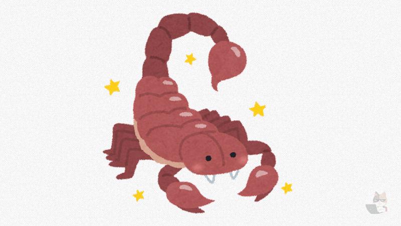 【閲覧注意・動画】サソリを飼育している女性、度を越してしまう…