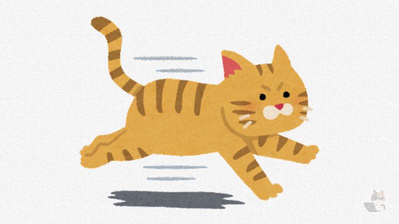 猫画像ください