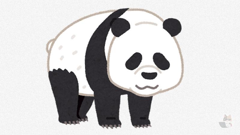 【動画】米動物園の衰弱パンダ、中国返還前に元気な姿を披露