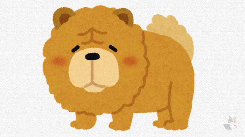 【悲報】イッヌ、雨でションボリ