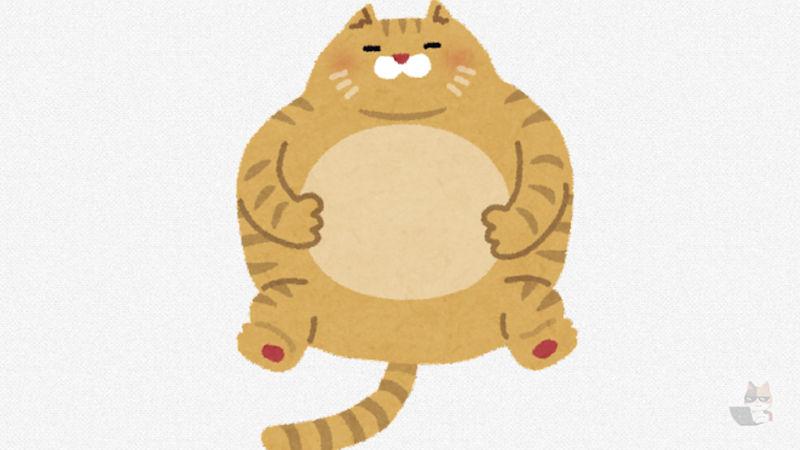 【画像】でかい猫、見つかるwwwwwwwww