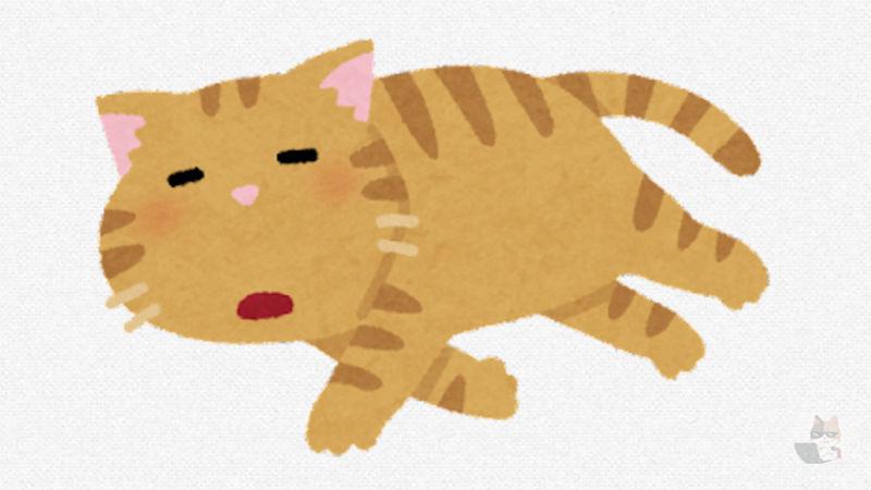 【画像】うちのねこだよ