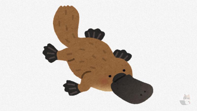 【動画】休日のおまえらみたいなカモノハシ、撮影される