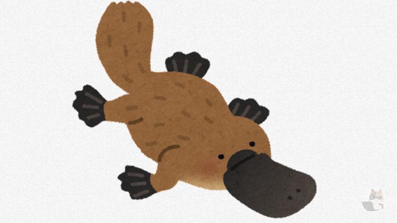 【画像】カモノハシ飼いたくね?