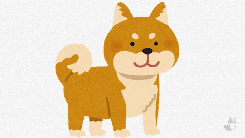 【画像】柴犬の腹撫でてやった