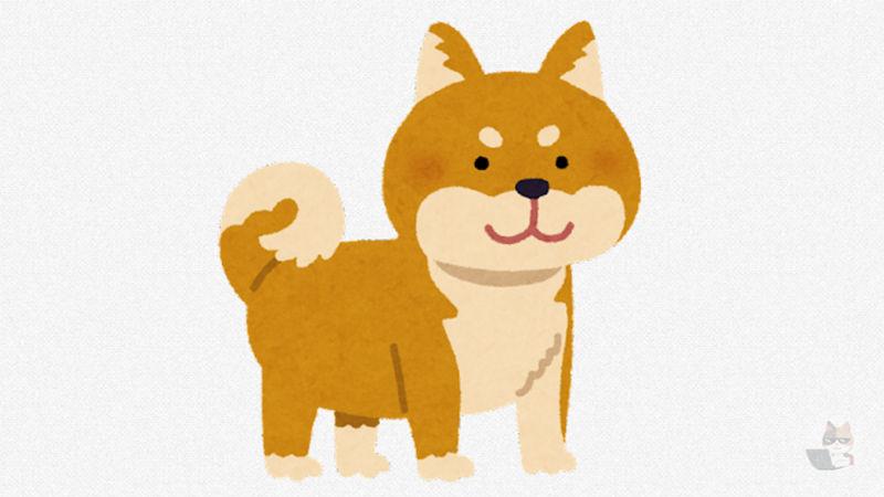 【画像】コーギーと柴犬のハーフ