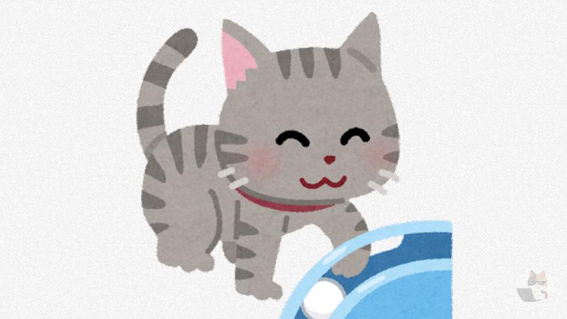 【gif】猫「モフです、かわいいです、癒やされます」