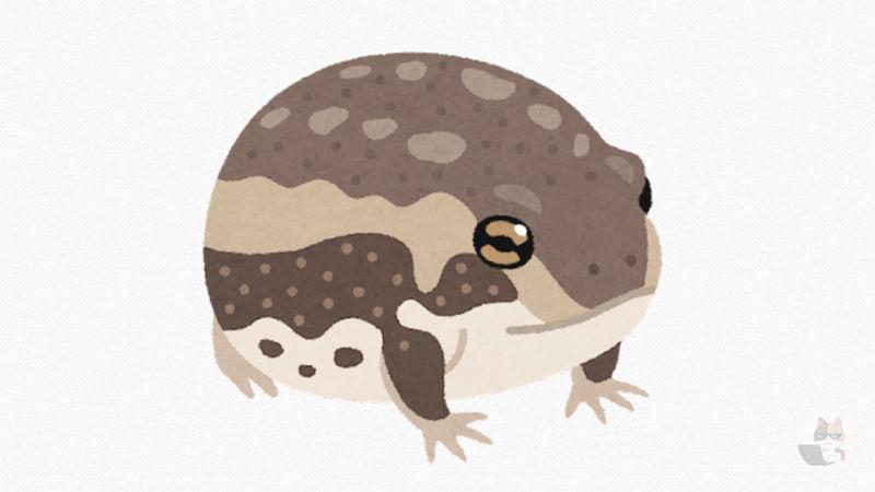 【画像】おもち みたいなカエル🐸が発見されてしまう……
