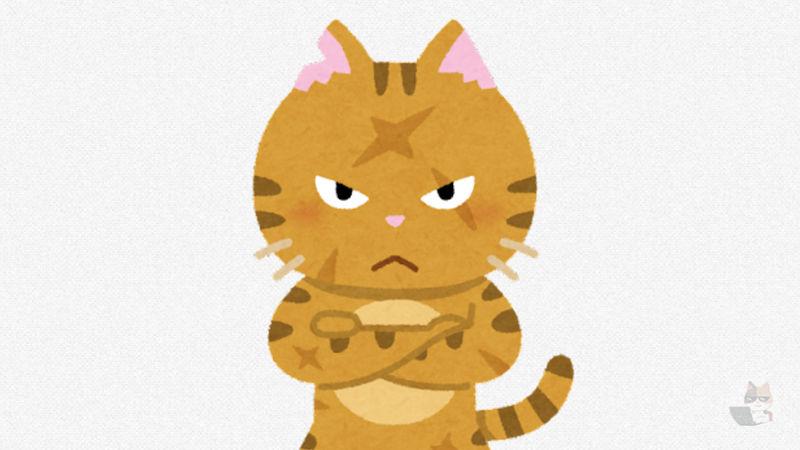 【画像】野良猫いるけどいつもお前触り方下手ってゆあれてる🥺