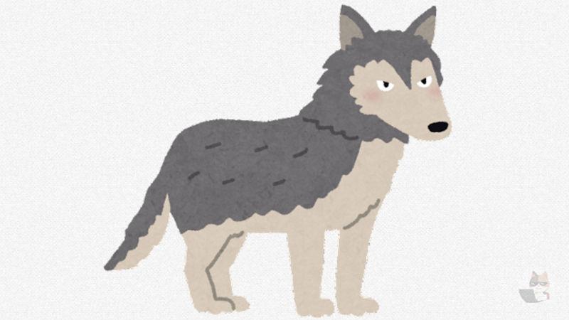 【画像】「ニホンオオカミ」とかいう、狼と呼ぶにはあまりにも貧相な獣ｗｗｗｗｗｗｗｗｗｗｗ