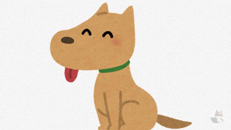 【画像】こういう雑種の犬がいいよね