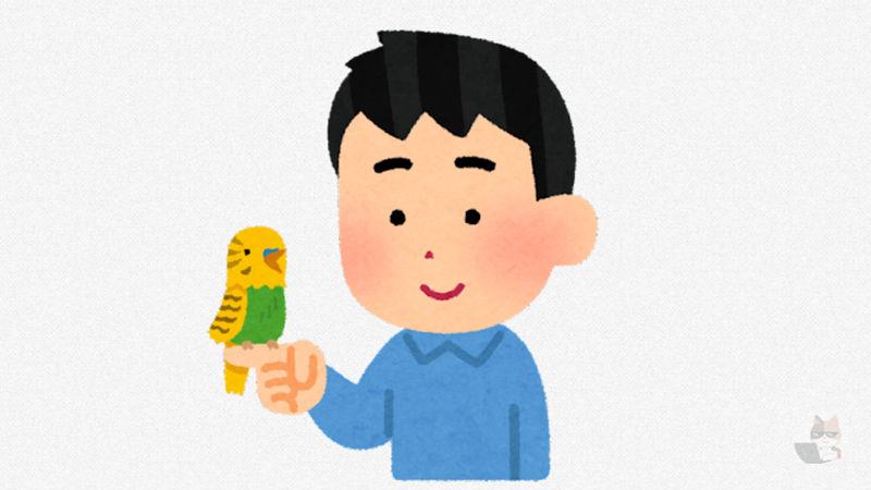 【画像あり】インコかわいいよな!本当に!