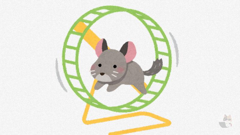 【画像】チンチラかわいくない?