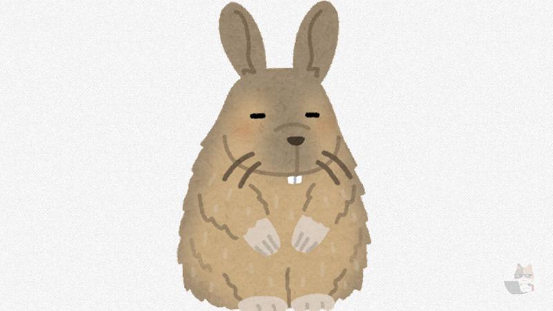 【画像】お前らっていつもイキってるけど家では絶対こんな顔してるよな