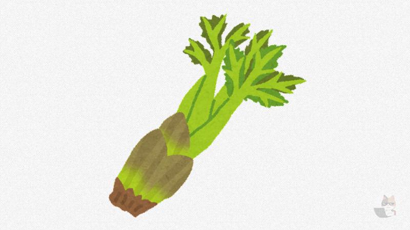 【画像】月給15万円の夕飯これwwwwwwwwwwwwwwww