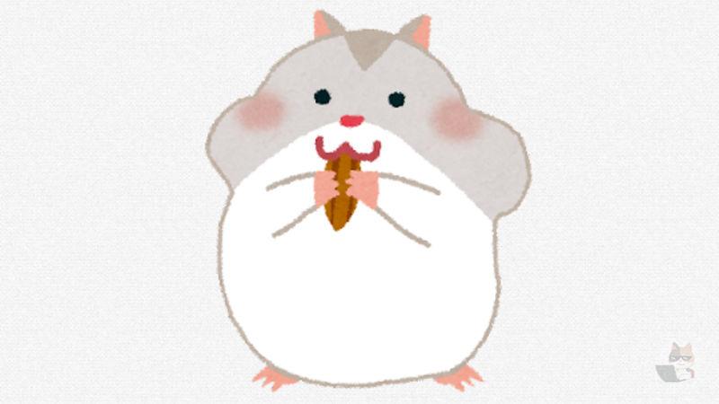 【画像】ワイのハムスターかわいいから見てくれ