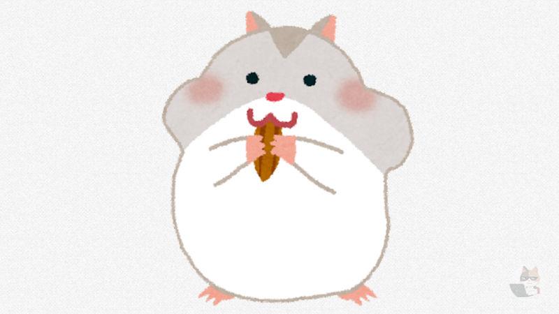 【画像】ワイのハムスター見てくれや