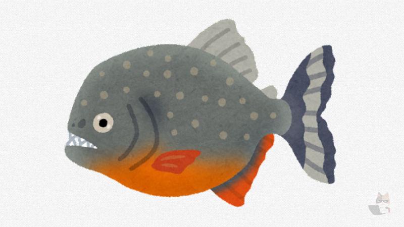 【画像】ワイの家のピラニア見てくれ