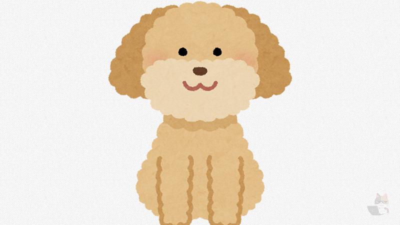 【画像】キムタクの家のイッヌ、デカすぎる