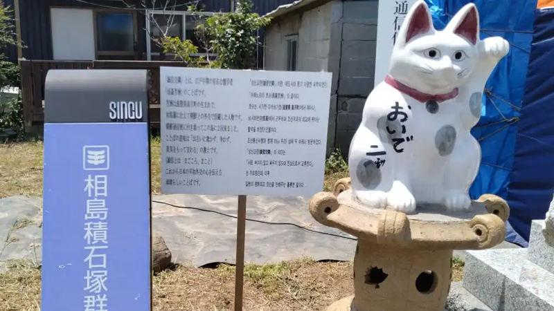 【画像】猫の島に来てみたぜ