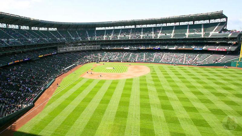 【閲覧注意】メジャーリーグで史上二度目の珍事。投手の投げた球が直撃して鳥が死亡