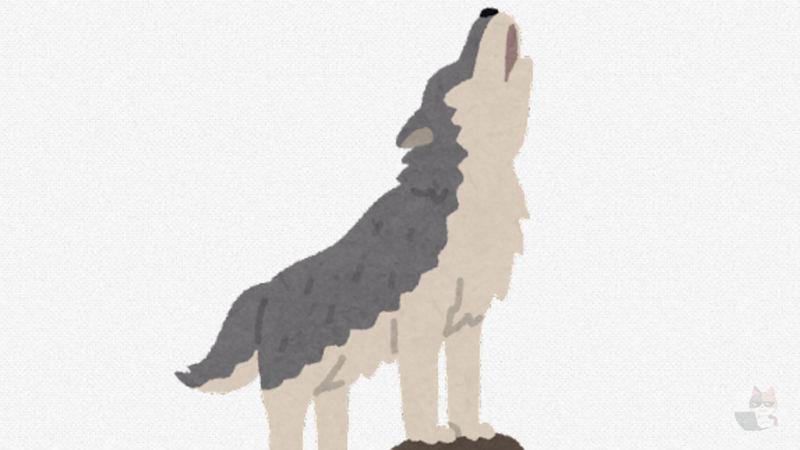 【画像】猫科「虎!ジャガー!チーター!ヒョウ!ライオン!」犬科「ジャッカル!コヨーテ!キツネ!タヌキ!」