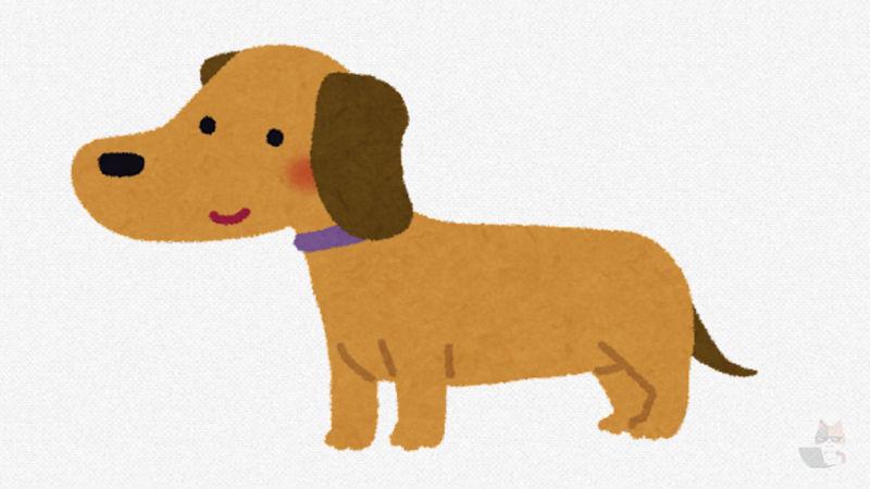 【画像あり】うちのイッヌ安すぎるw