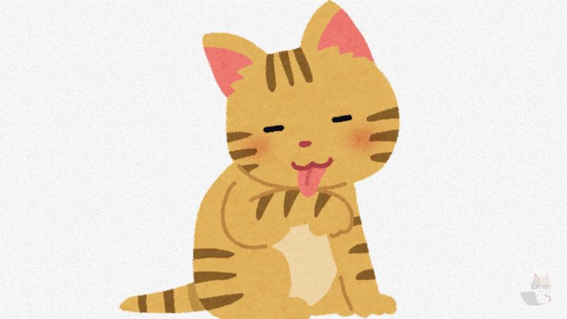 猫とイチャイチャ!!!!!!!猫とイチャイチャ!!!!!!!