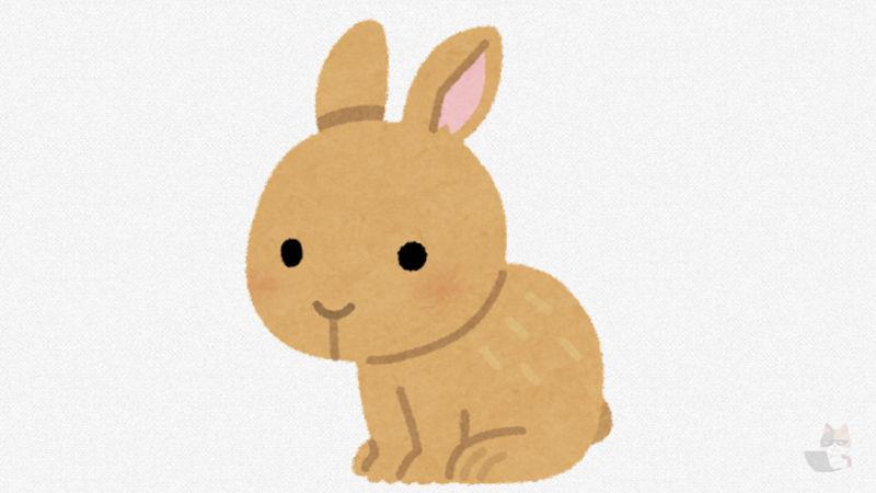 【画像】うさぎってこんな伸びるの?