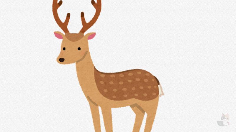 【画像】奈良の鹿さん、GWで人が来すぎて鹿せんべいを拒否してしまう