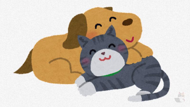 【画像】イッヌ、猫に甘えられてご満悦🦮😻