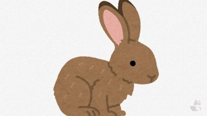 【動画】巣穴から出てきたウサちゃん、すごい眠そうで可愛いと話題