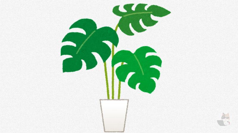 (ヽ´ん`)「観葉植物に金出すなんて馬鹿馬鹿しい、俺なら食った種を植える」