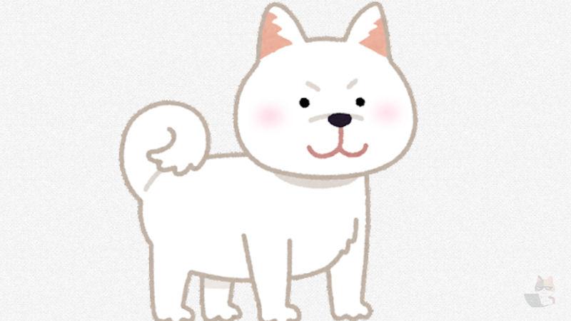 【画像】うちのニート犬、寝てる