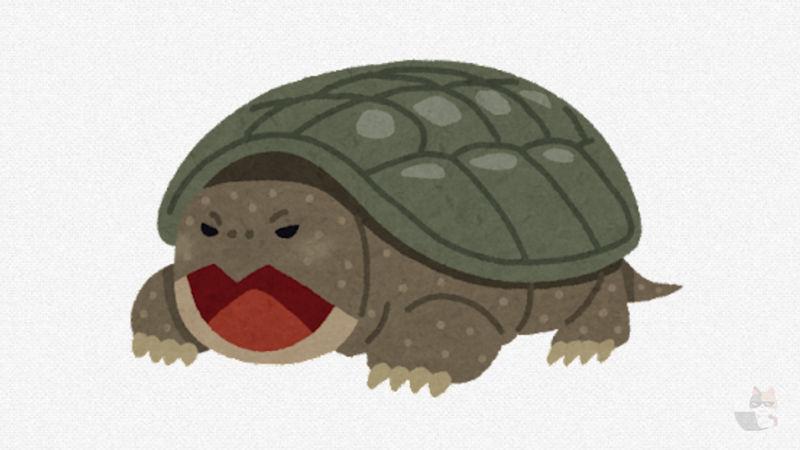 【動画】アメリカで見つかった太った亀、半分恐竜