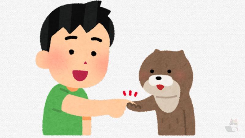 【動画】カワウソさん、ハーゲンダッツの蓋が気に入ってしまうw