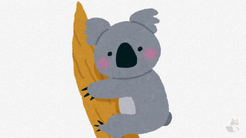 【悲報】コアラさん、顔から一切の知性が感じられない