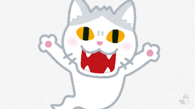 【猫画像】怖い車みつけた!!!【恐怖】