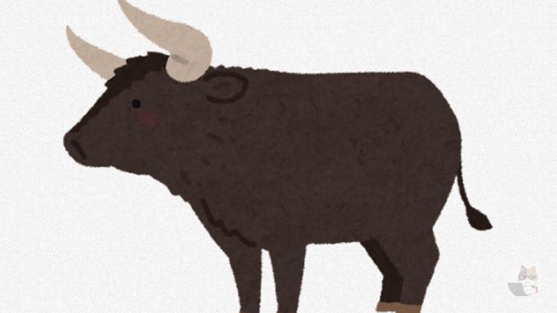 【画像】世界一でかい『ツノ』を持つ牛 思ったよりデカかった