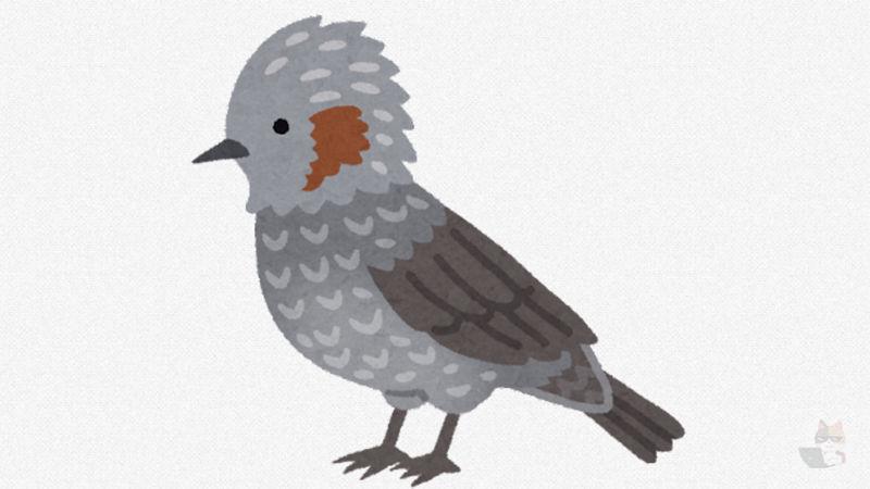 【画像】鳥が雨宿りしてたンゴ