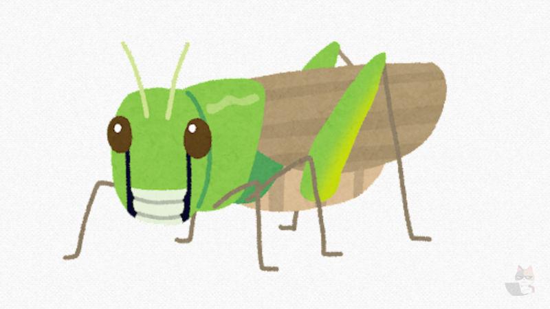 【閲覧注意】【動画】バッタさん、『死ぬ10秒前の映像』が公開される・・・