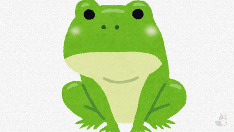 【閲覧注意・画像】肛門から猛毒のヘビが出ているカエルが発見される