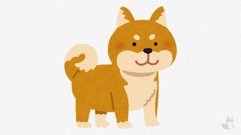 【動画あり】でも実際柴犬が一番かわいいのは言うまでもないよね