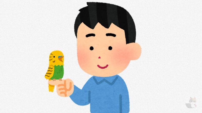 【画像あり】鳥って懐くの?