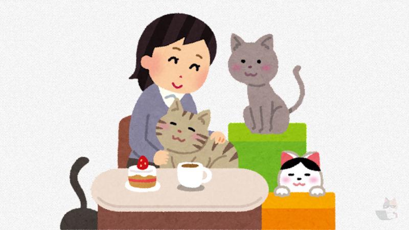 【画像】猫が膝の上に座ってくれた!