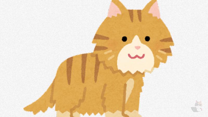 【画】ふわふわな猫の画像ください