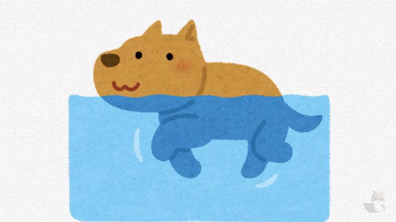【動画】泳いでたイッヌさん、気がついてしまう